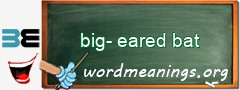 WordMeaning blackboard for big-eared bat